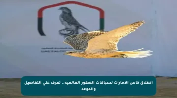 انطلاق كأس الإمارات لسباقات الصقور العالمية.. تعرف على التفاصيل والموعد